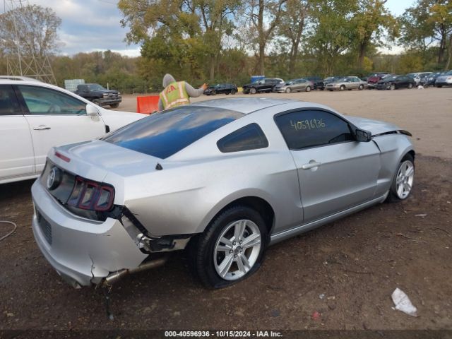 1ZVBP8AM6E5216723 Ford Mustang V6