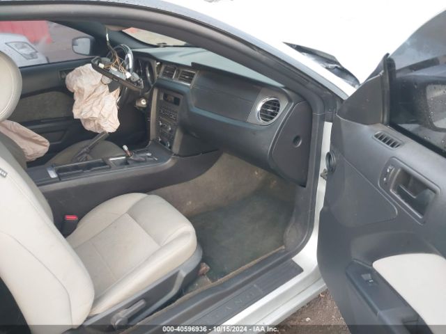 1ZVBP8AM6E5216723 Ford Mustang V6