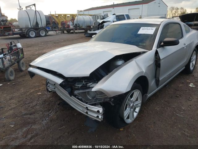 1ZVBP8AM6E5216723 Ford Mustang V6
