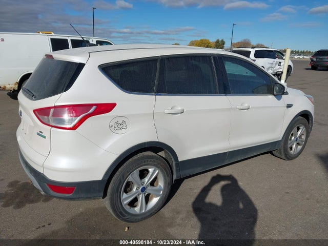 Ford ESCAPE SE 2014 1FMCU0GX1EUA53273 Image 4