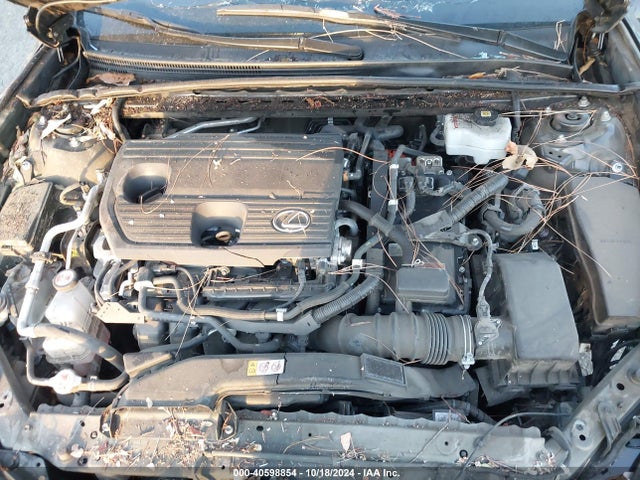 58AEA1C16NU020254 Lexus Es 300h Luxury