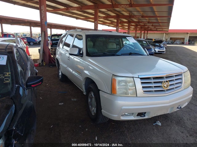 2002 CADILLAC ESCALADE 1GYEK63N22R247362 Photo 0