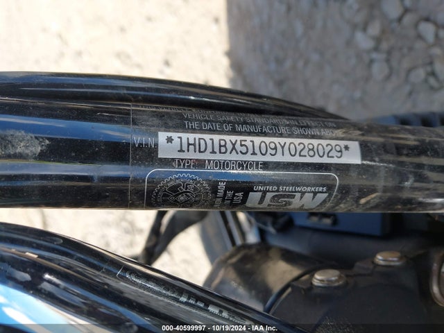 2009 HARLEY-DAVIDSON FLSTF 1HD1BX5109Y028029 Photo 9