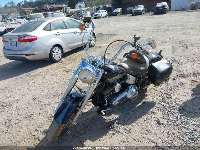 2009 HARLEY-DAVIDSON FLSTF 1HD1BX5109Y028029 Photo 1