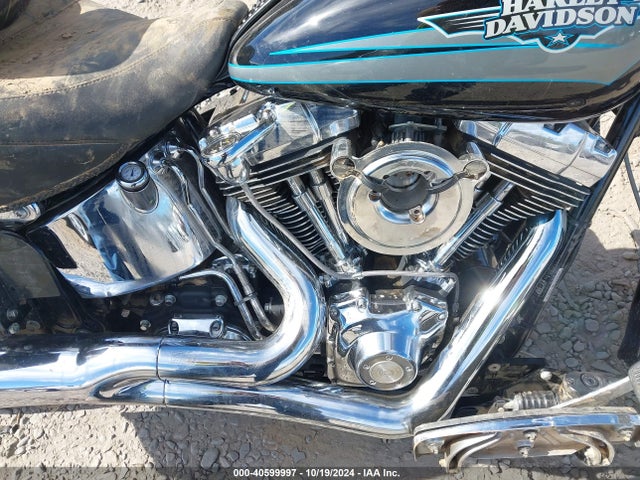 2009 HARLEY-DAVIDSON FLSTF 1HD1BX5109Y028029 Photo 7