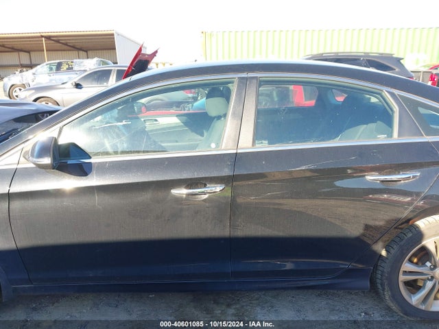 Hyundai SONATA SEL 2019 5NPE34AF1KH809780 Image 14