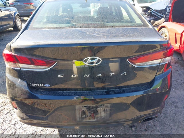 Hyundai SONATA SEL 2019 5NPE34AF1KH809780 Image 16