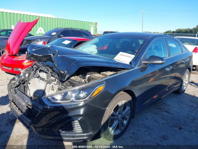 Hyundai SONATA SEL 2019 5NPE34AF1KH809780 Image 2