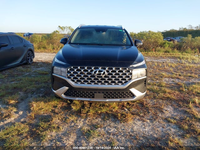 Hyundai Santa Fe Hybrid Blue 2022 KM8S2DA12NU044384 Image 6