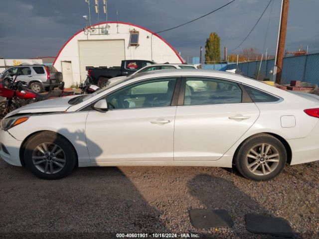 5NPE24AF8GH278894 Hyundai SONATA SE