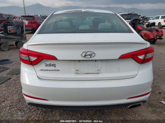 5NPE24AF8GH278894 Hyundai SONATA SE