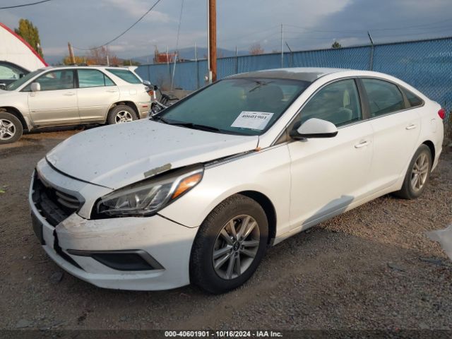 5NPE24AF8GH278894 Hyundai SONATA SE