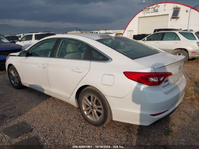 5NPE24AF8GH278894 Hyundai SONATA SE