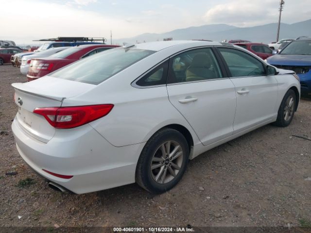 5NPE24AF8GH278894 Hyundai SONATA SE