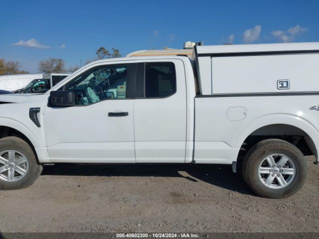 1FTEX1LP3RKD39479 Ford F-150 Xl
