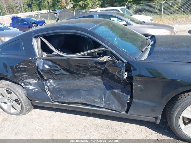 Ford Mustang V6 2014 1ZVBP8AM1E5223918 Image 12