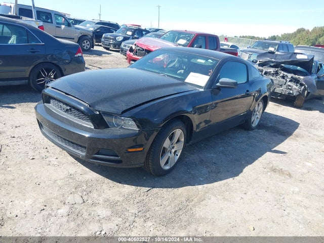 Ford Mustang V6 2014 1ZVBP8AM1E5223918 Image 2
