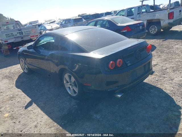 Ford Mustang V6 2014 1ZVBP8AM1E5223918 Image 3