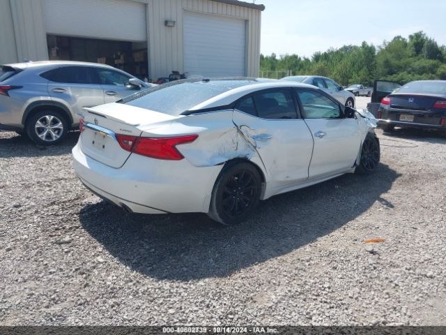 1N4AA6AP5GC423512 Nissan Maxima 3.5 Platinum