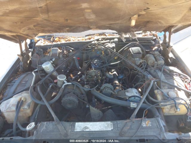 1988 CADILLAC BROUGHAM 1G6DW51Y4JR766637 Photo 9