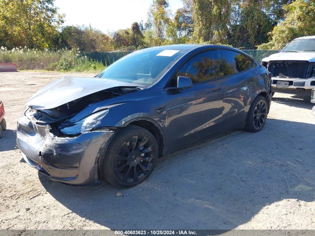 2023 TESLA MODEL Y 7SAYGAEE8PF589368 Photo 1