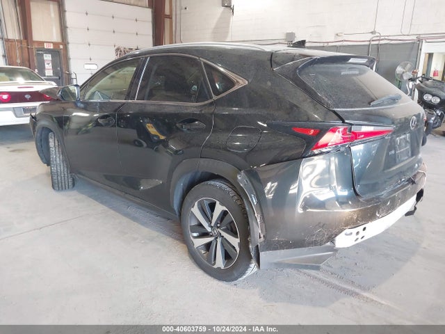 Lexus NX 300 2018 JTJBARBZ9J2158250 Image 3