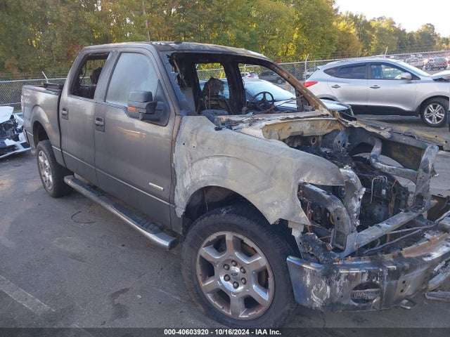 Ford F-150 Xlt 2014 1FTFW1ET2EFB06889 Image 12