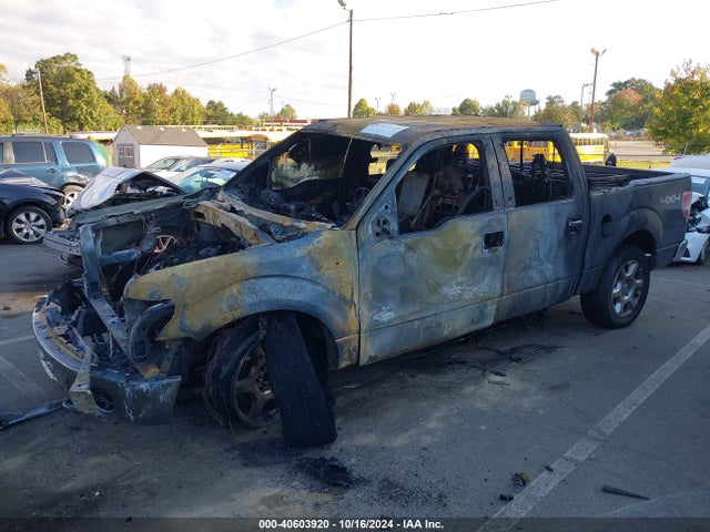 Ford F-150 Xlt 2014 1FTFW1ET2EFB06889 Image 2