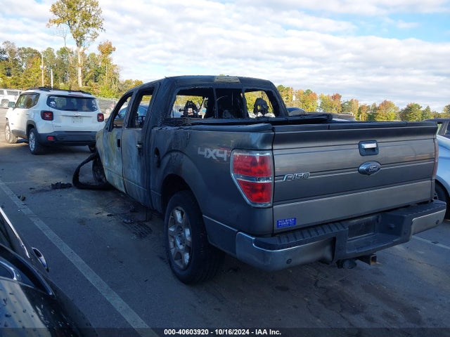 Ford F-150 Xlt 2014 1FTFW1ET2EFB06889 Image 3