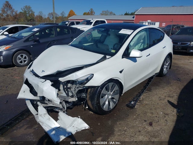 2023 TESLA MODEL Y 7SAYGDEE0PF697565 Photo 1