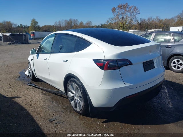 2023 TESLA MODEL Y 7SAYGDEE0PF697565 Photo 2