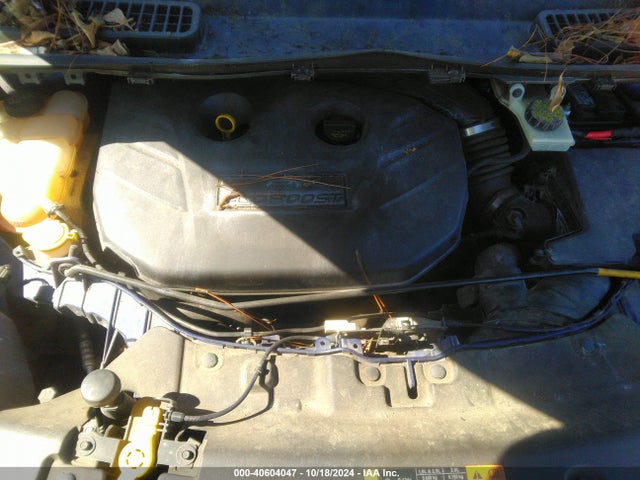 Ford ESCAPE SE 2014 1FMCU0G98EUB49158 Image 10