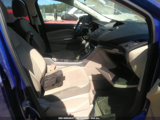 Ford ESCAPE SE 2014 1FMCU0G98EUB49158 Image 5
