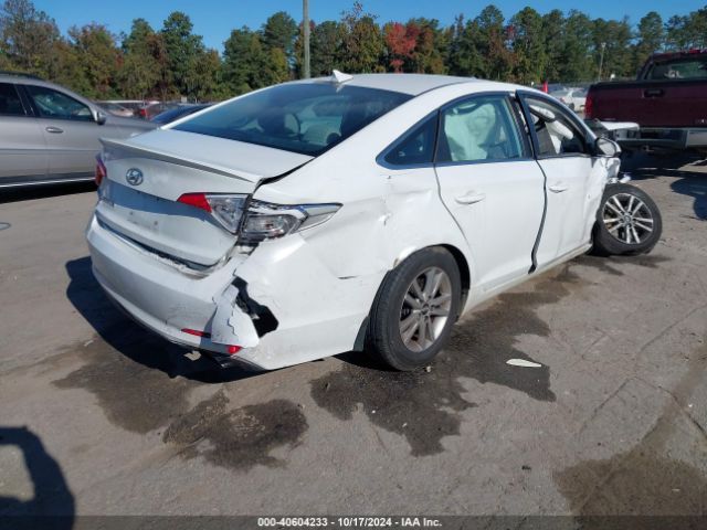 5NPE24AFXHH440249 Hyundai SONATA SE