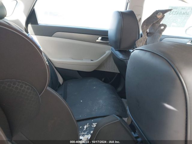 5NPE24AFXHH440249 Hyundai SONATA SE