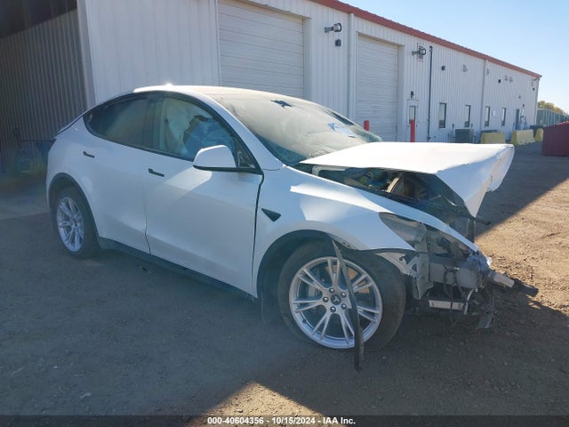 2021 TESLA MODEL Y 5YJYGDEEXMF193632 Photo 0