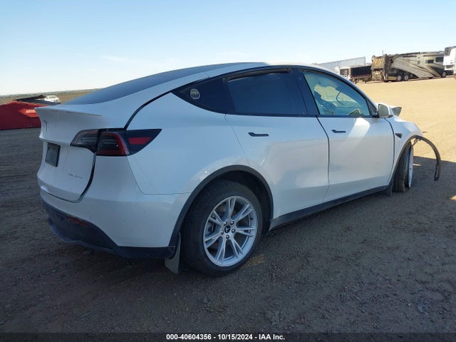 2021 TESLA MODEL Y 5YJYGDEEXMF193632 Photo 3