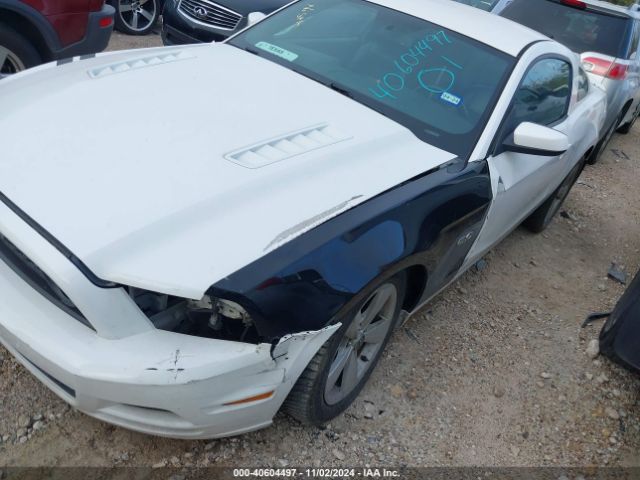 1ZVBP8CF4E5238587 Ford Mustang Gt Premium