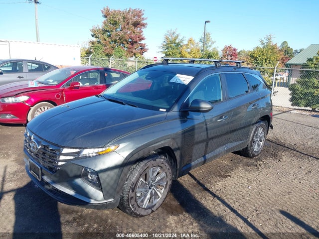 KM8JBCD1XRU206446 Hyundai Tucson Hybrid Blue