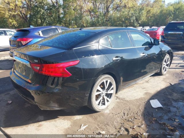 1N4AA6AP0GC411574 Nissan Maxima 3.5 Platinum/3.5 S/3.5 Sl/3.5 Sr/3.5 Sv