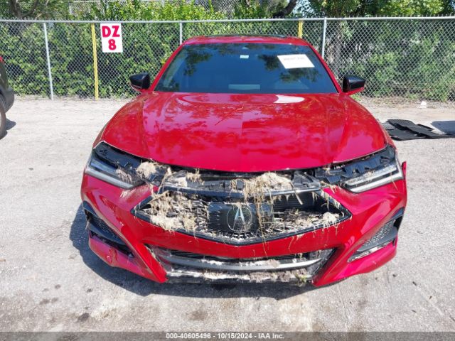 19UUB5F53PA004853 Acura Tlx A-spec Package