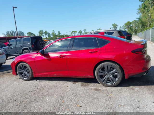 19UUB5F53PA004853 Acura Tlx A-spec Package