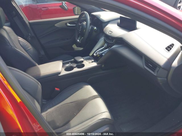 19UUB5F53PA004853 Acura Tlx A-spec Package