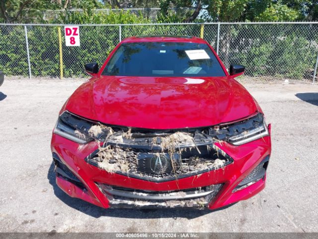 19UUB5F53PA004853 Acura Tlx A-spec Package