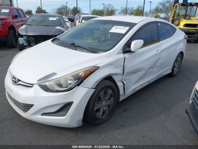 5NPDH4AE8GH719425 Hyundai ELANTRA SE