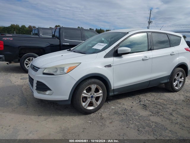 Ford ESCAPE SE 2014 1FMCU0GX8EUC70061 Image 12