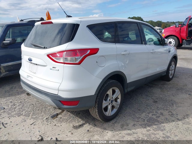 Ford ESCAPE SE 2014 1FMCU0GX8EUC70061 Image 4
