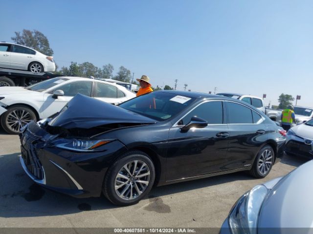 58ACA1C14NU017523 Lexus ES 300H