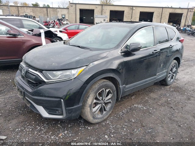 Honda Cr-v Awd Ex 2020 7FARW2H53LE016656 Image 2