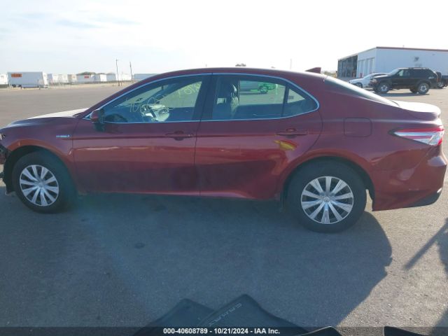 4T1C31AK1LU522381 Toyota Camry Le Hybrid